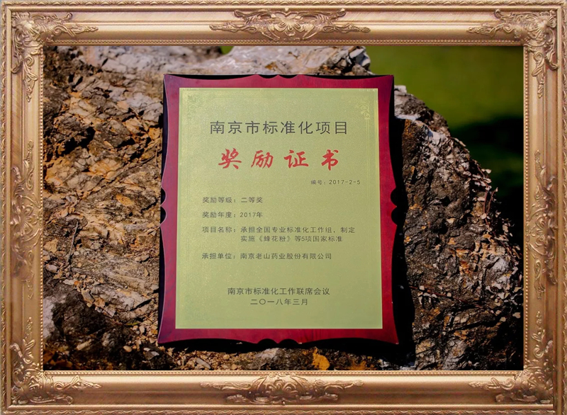 “2017年度南京市标准化项目”二等奖