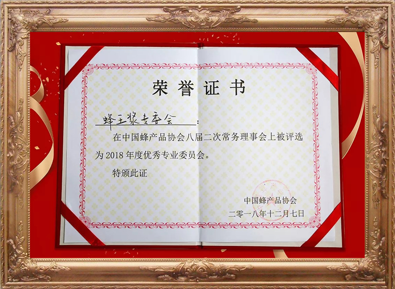 2018年度优秀专业委员会